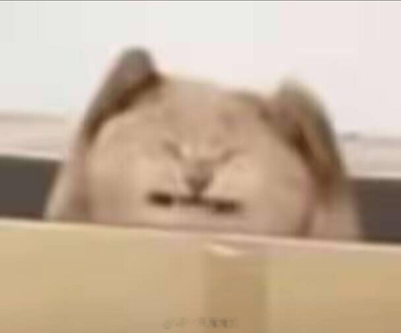 和对我不好的人一接触心情就会变差 