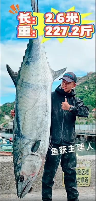 11月29日，珠海万山区担杆镇庙湾海域上演了一场现实版的“捕鱼传奇”。一名钓鱼爱