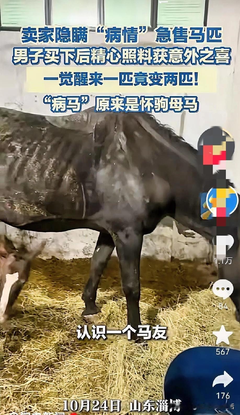 人还是要心存善念啊！
卖马的人，这会大腿都该拍肿了吧。
前一秒还在窃喜自己终于把