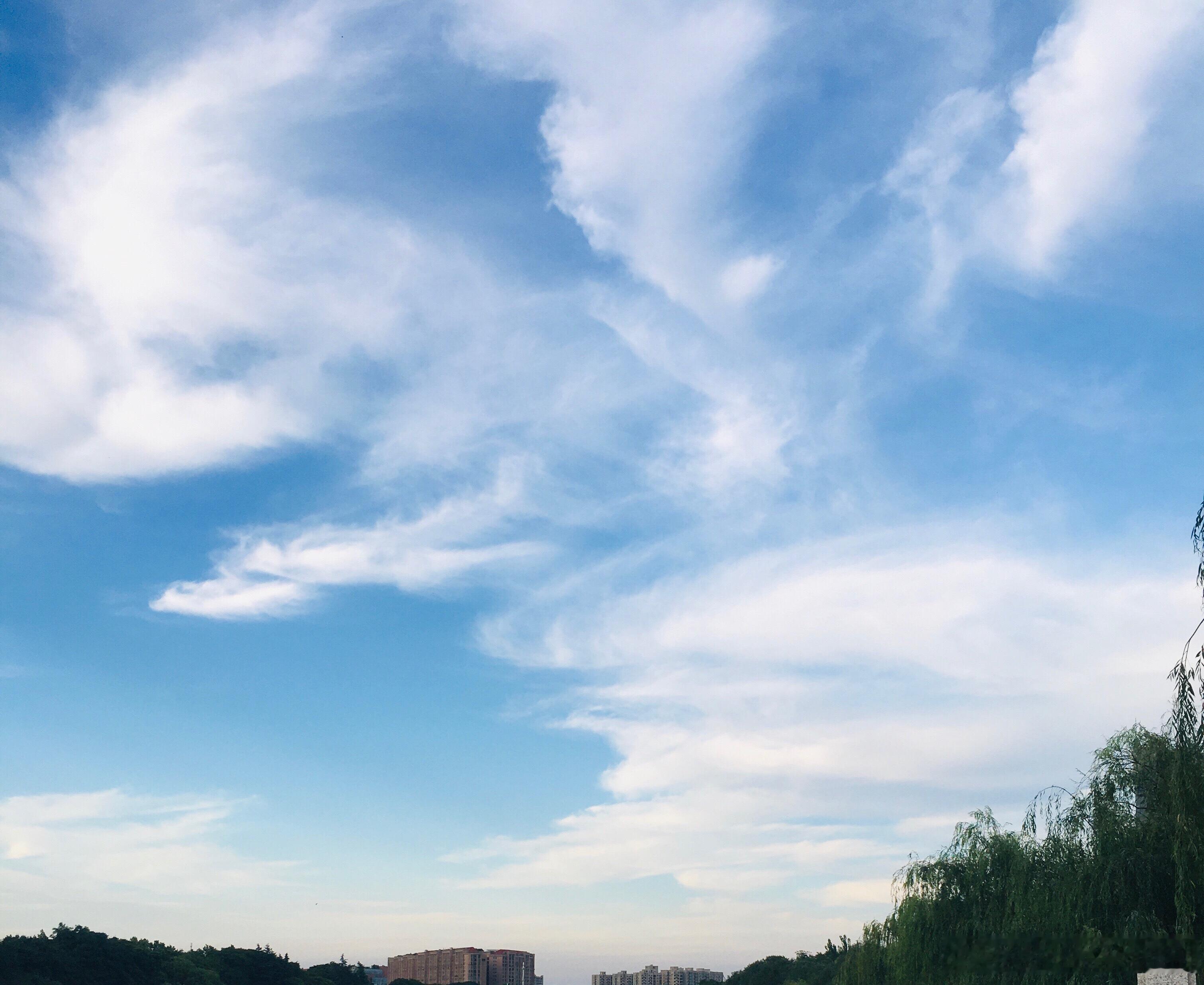 A股半导体明星股暴涨900%大A竟然又又又有新变化了，半导体这么厉害了，谁买谁有