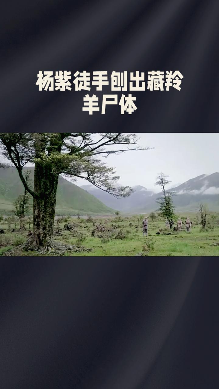 剥羊皮背后，是人性的抉择与生态的危机。《生命树》剧中展现的真实故事，让人深思。