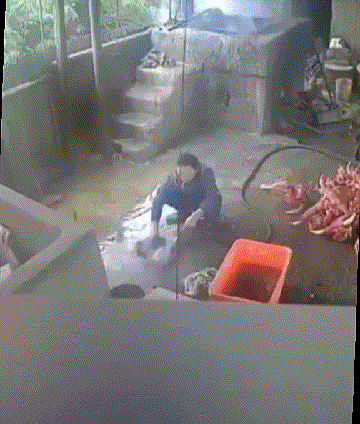 网友:这是咋个回事？