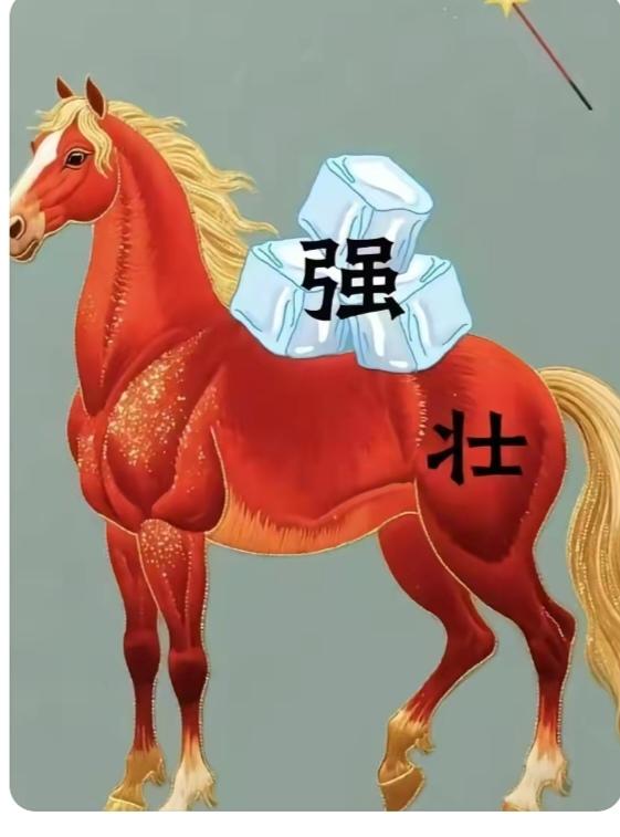图中隐藏四字成语。你能看出来吗？拭目以待。温馨提示：谐音猜个字，马背上有冰块。