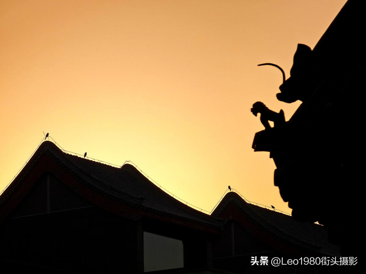 今日分享随手拍照片夕阳下，这一幕还挺有意思。