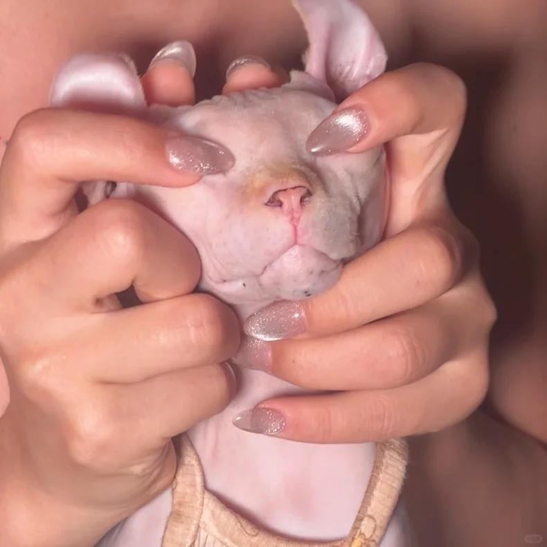 猫眼美甲