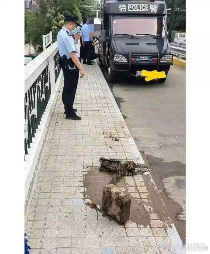 钓鱼佬除了🎣什么都能钓到 ​​​