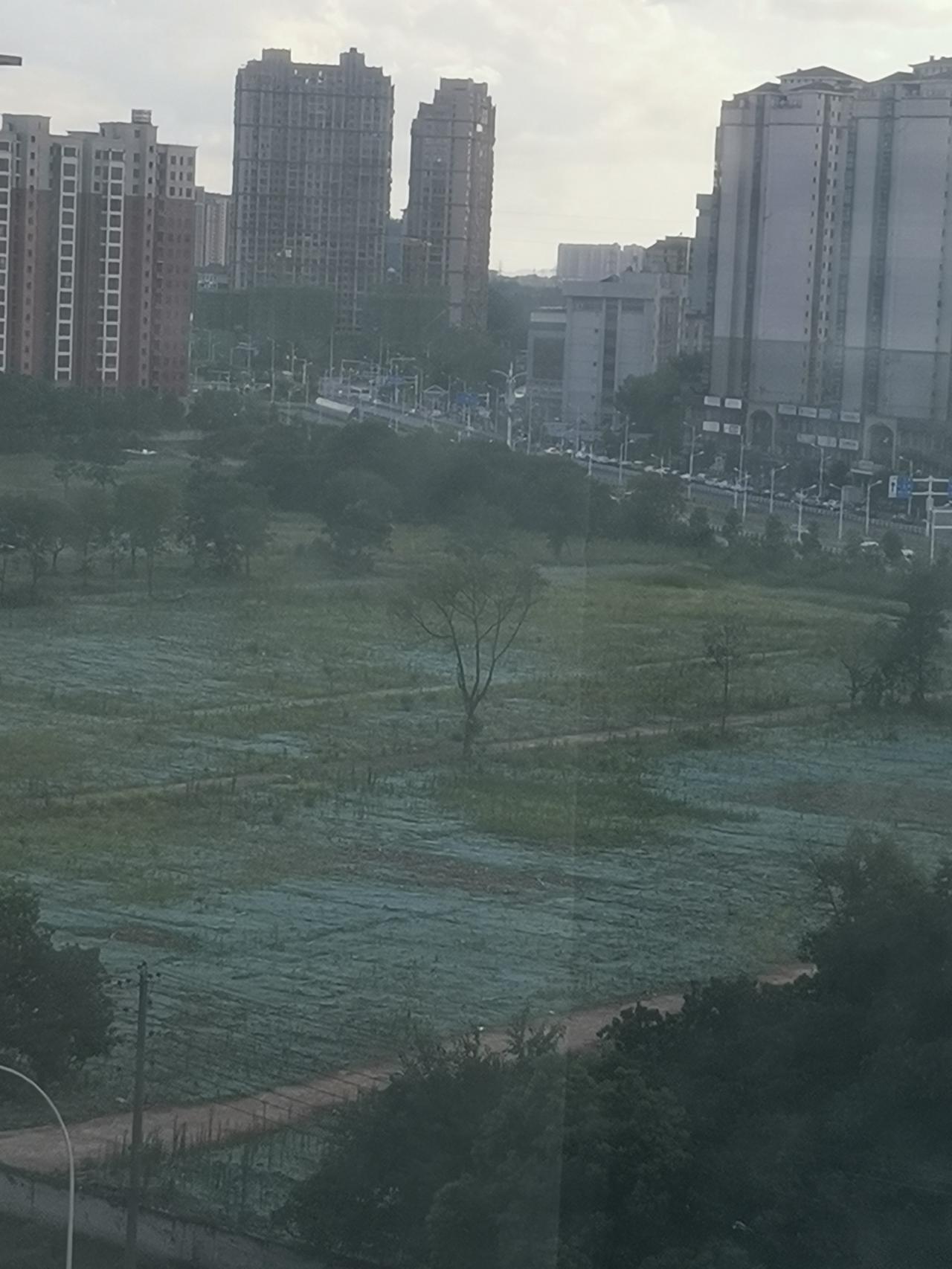 市中心这块地空置了多年，为了防止卫星拍到，没有种草的地铺了绿色的塑料网。
自从房
