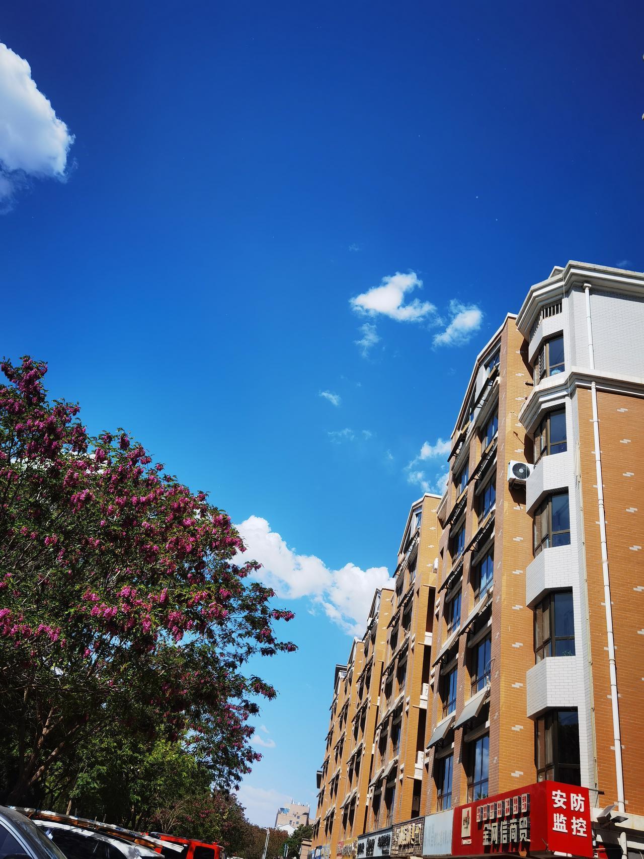 楼和树的距离
也许很远又近
两片云飘过来
组合成一天桥
桥这边是花树
桥那边是人