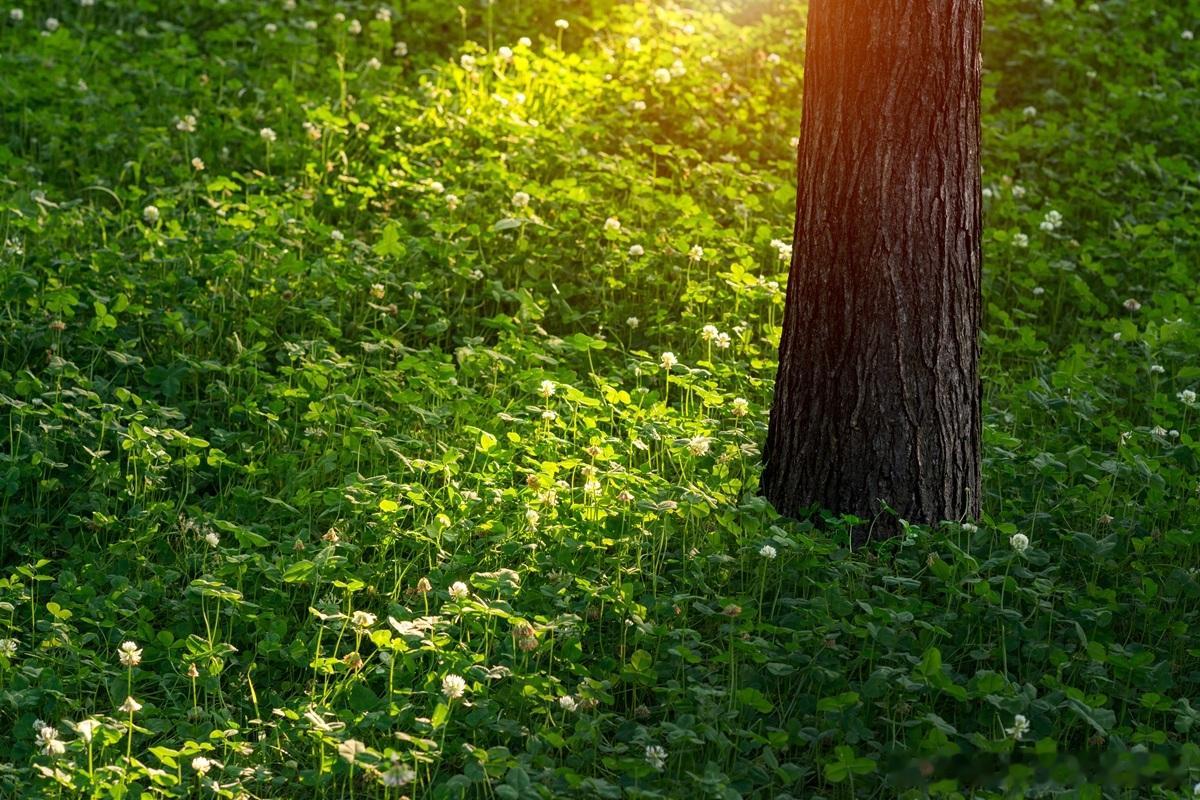 第三方债权能够作为出资吗？需要技巧性操作。债转股出资，公司无钱还债，把债权转成股