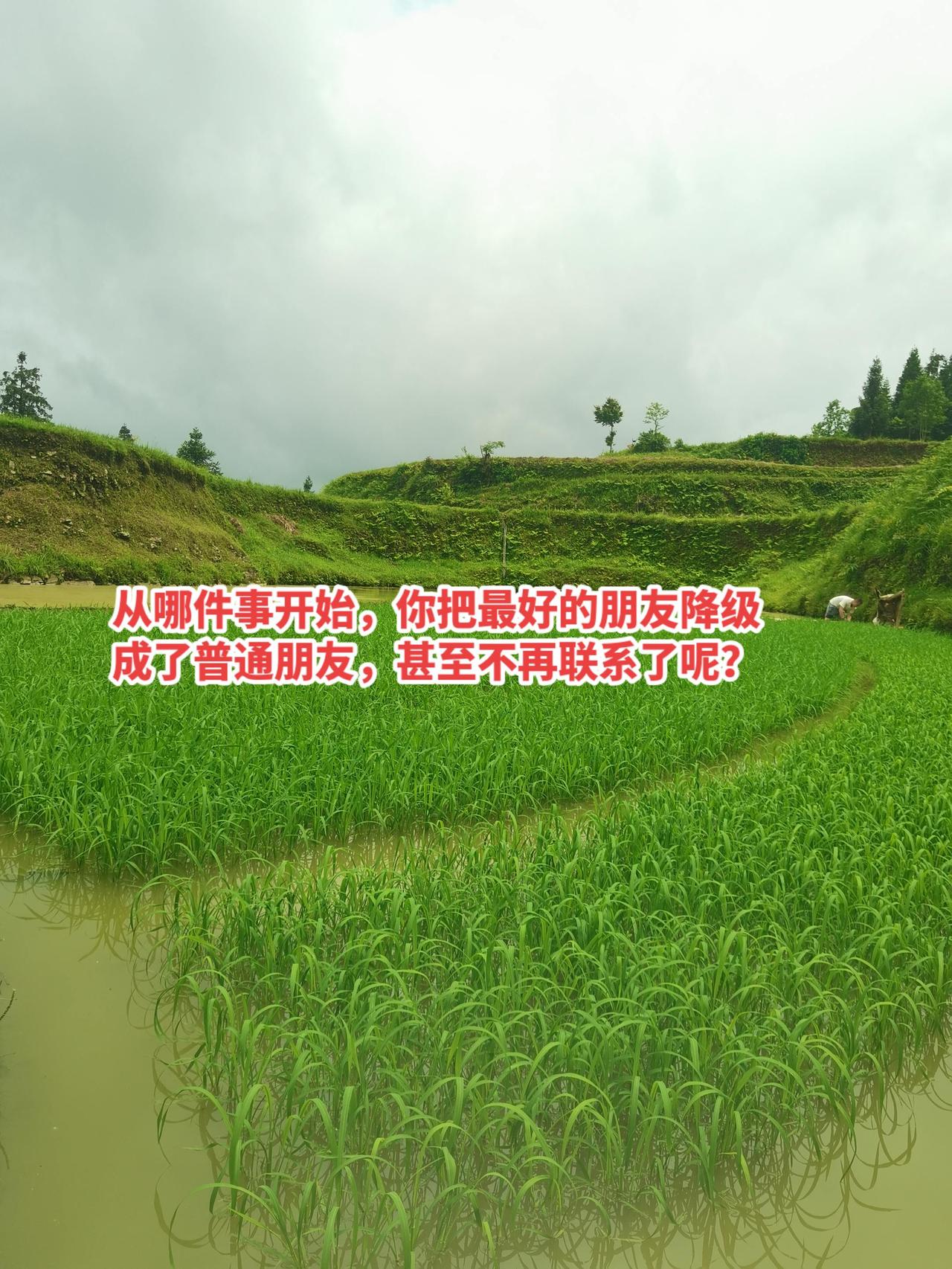 其实我真的很讨厌那种一直给我输送负面情绪的人，但是当我遇到了事情的时候，她又爱答