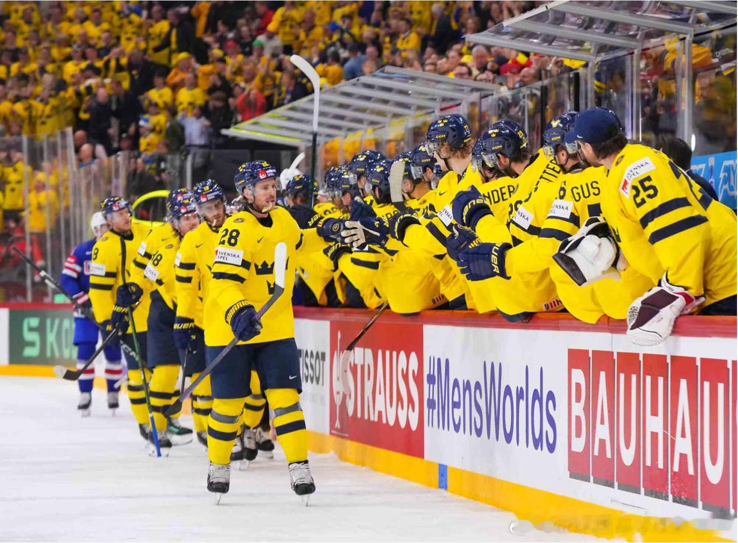 IIHF说明书 🇸🇪埃利亚斯·林霍尔姆出生于1994年12月2日，身高183