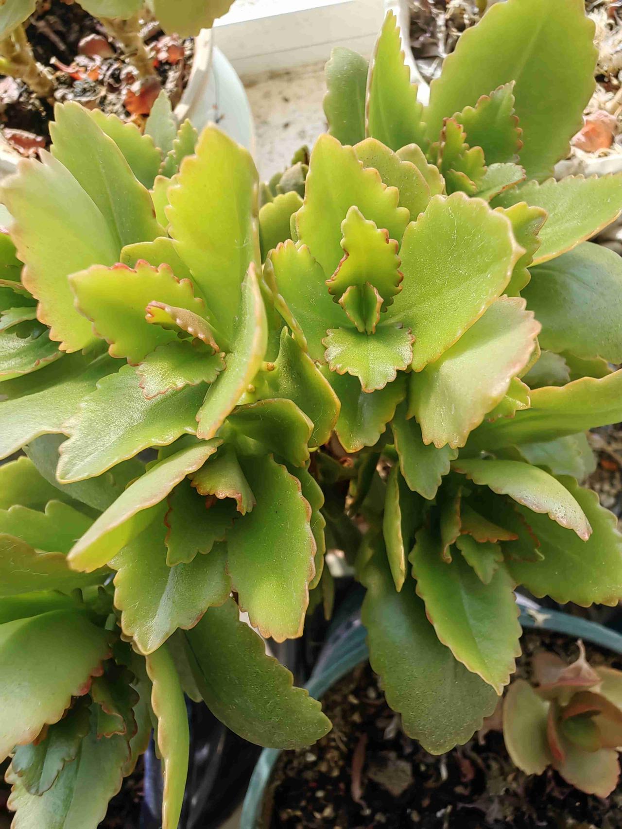 我的今日状态：😁轻松愉快
我这里的天气：☀️晴天