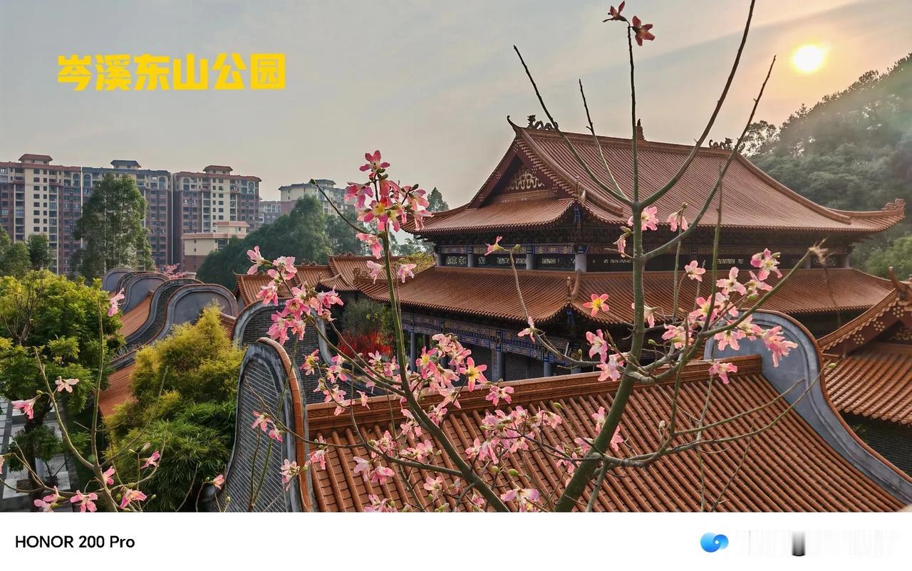 上联：岁岁平安福星高
对联表达了对未来美好生活的期盼，上联强调平安和福气，下联则