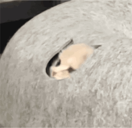 2️⃣月有啥古偶可以追呀❓嘿嘿˙ᗜ˙嘿嘿*^o^*嘿嘿✧⁺⸜(●˙▾˙●)⸝⁺✧