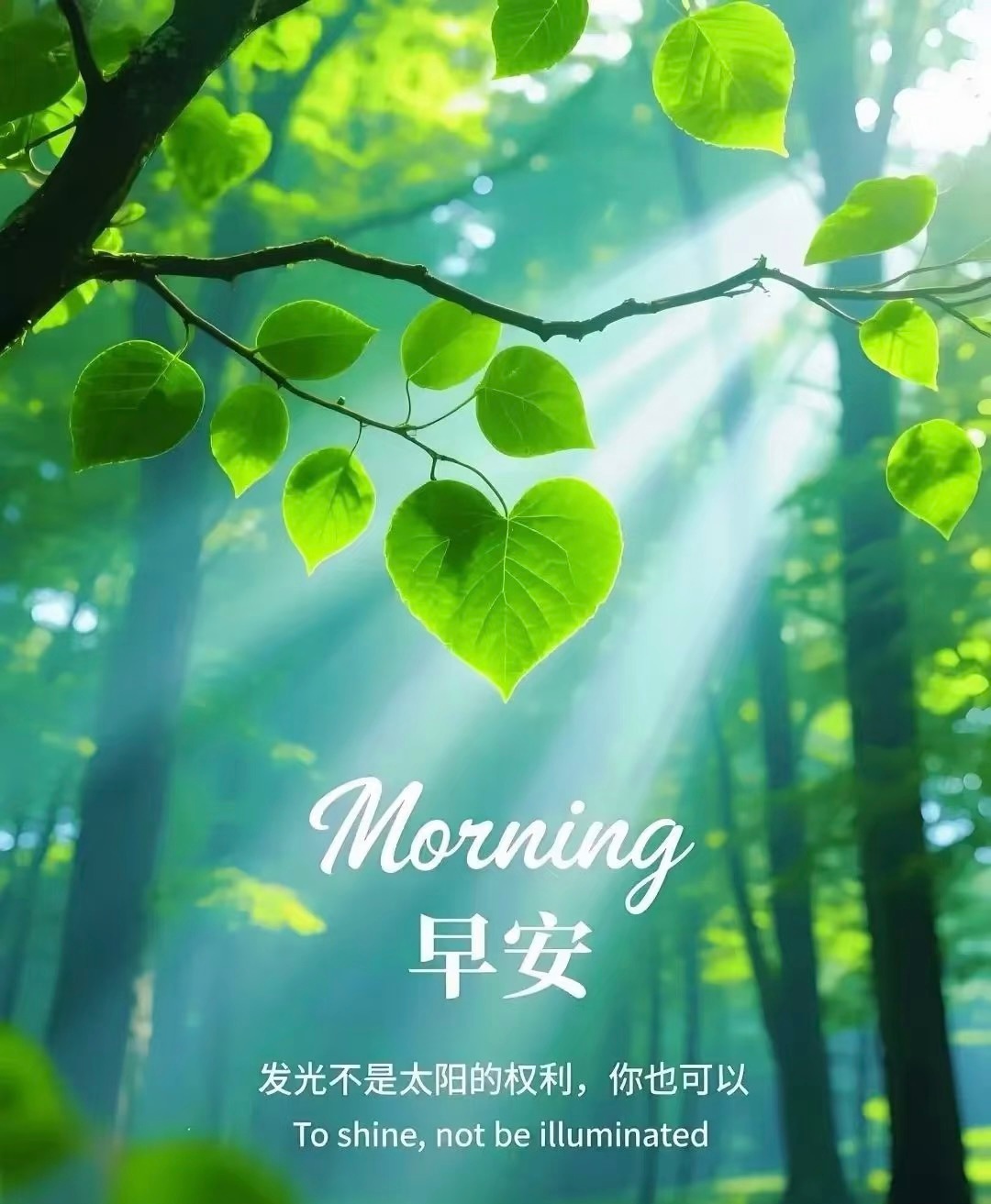 生活不必太拥挤，留点空间给阳光和微风，不必太慌张，留点时间给睡眠和早餐。推开窗，