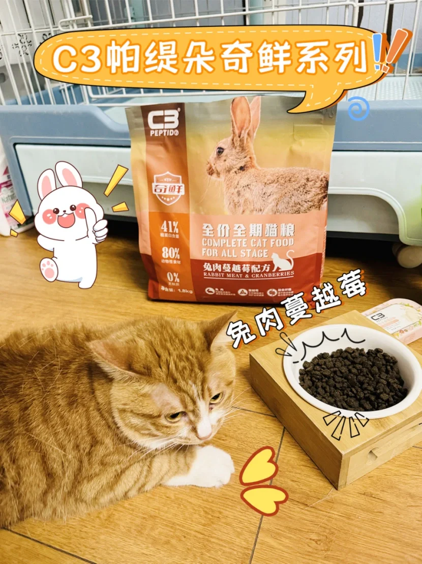 养猫不踩坑！多猫家庭推选粮就看这篇~