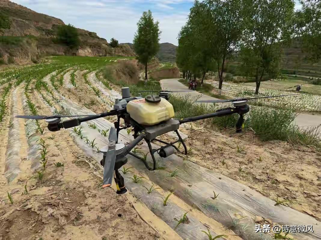 中方发布1号文件，特朗普已投降，美媒反思：中国无人机因何逆袭
 
没人想到，美国