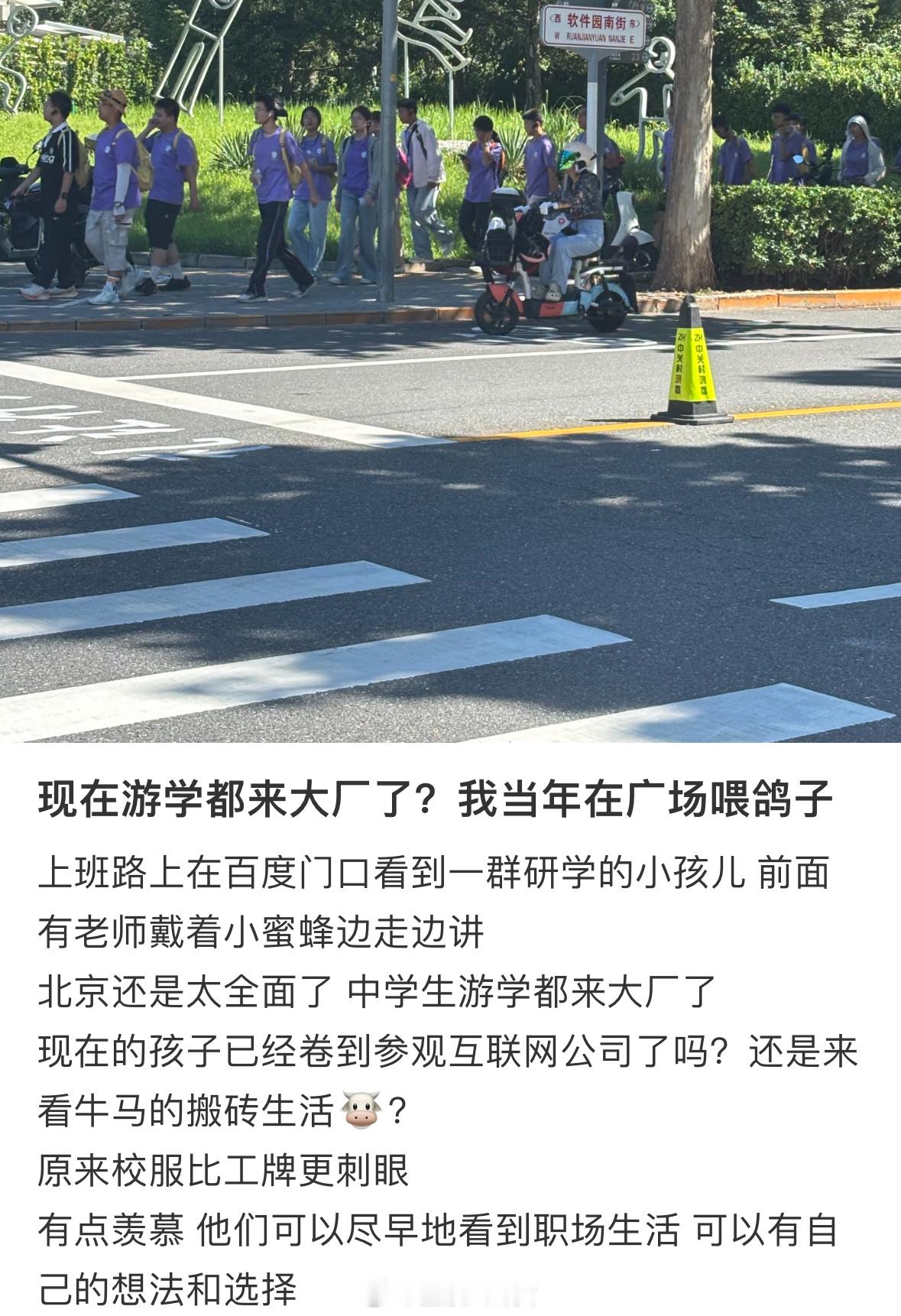 现在游学都来互联网大厂了？[吃瓜] ​​​