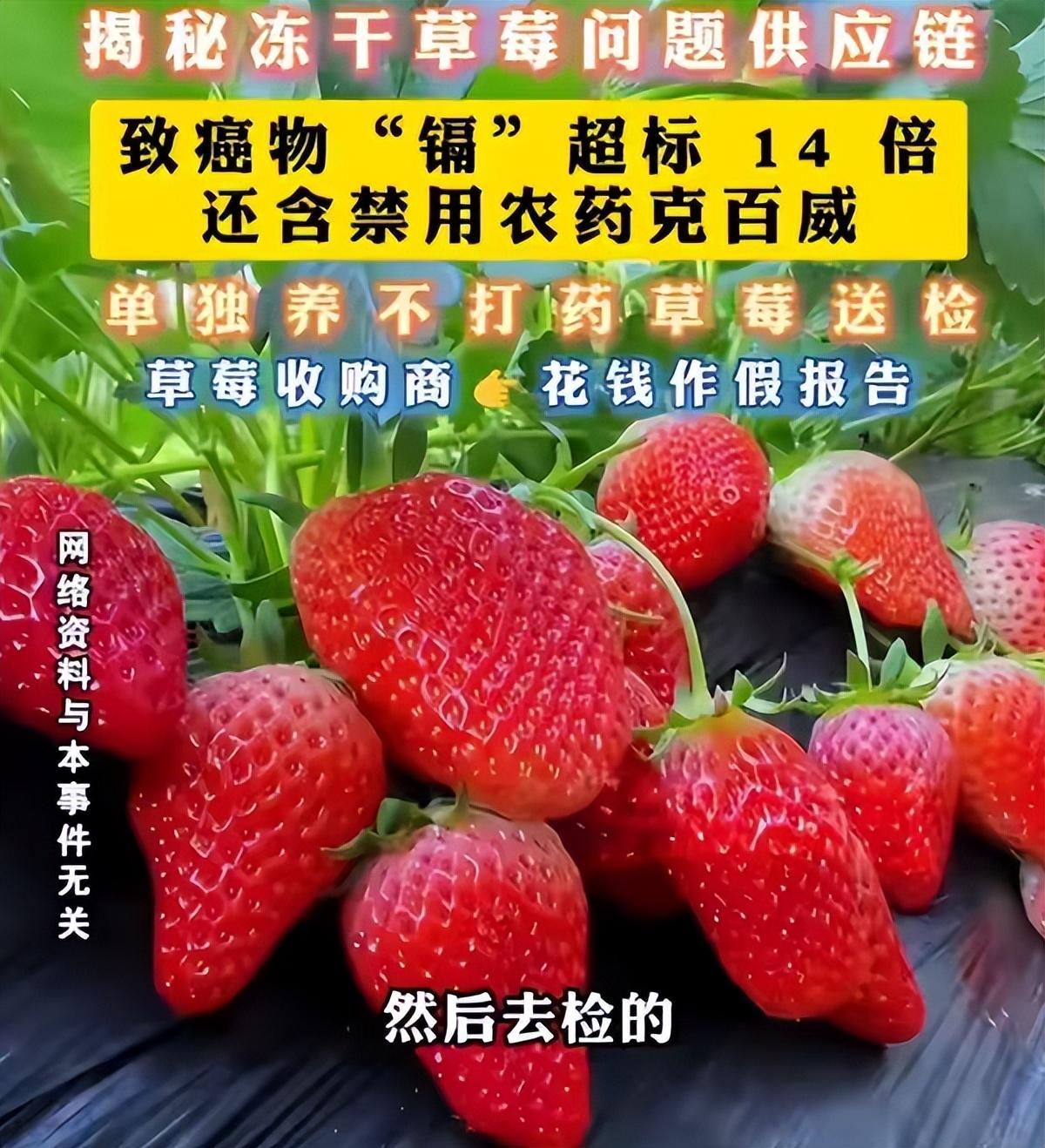 监管要前置
每次食品安全出问题，很多人都会有同样的疑问：为什么总是等事情闹大了，