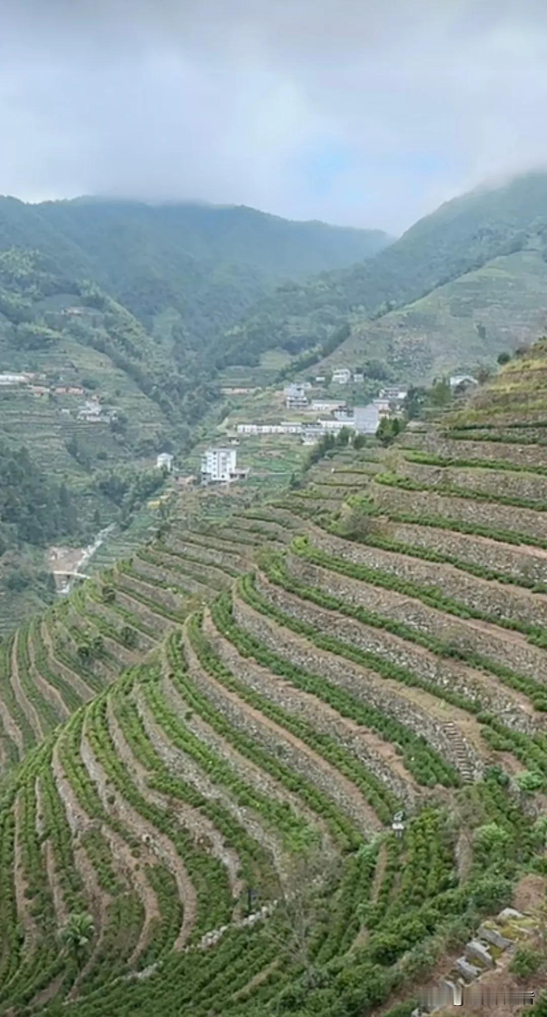 #上联：冬去千山秀，诚邀下联#
上联：冬去千山秀，
下联:   春来百鸟鸣。
