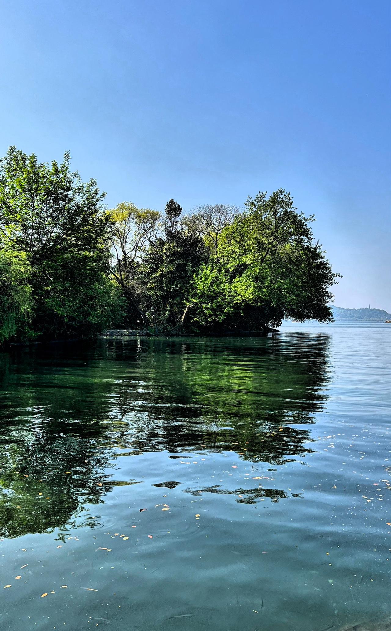 春日赏景：湖光潋滟，绿树成荫，静享自然之美。晒图笔记大赛