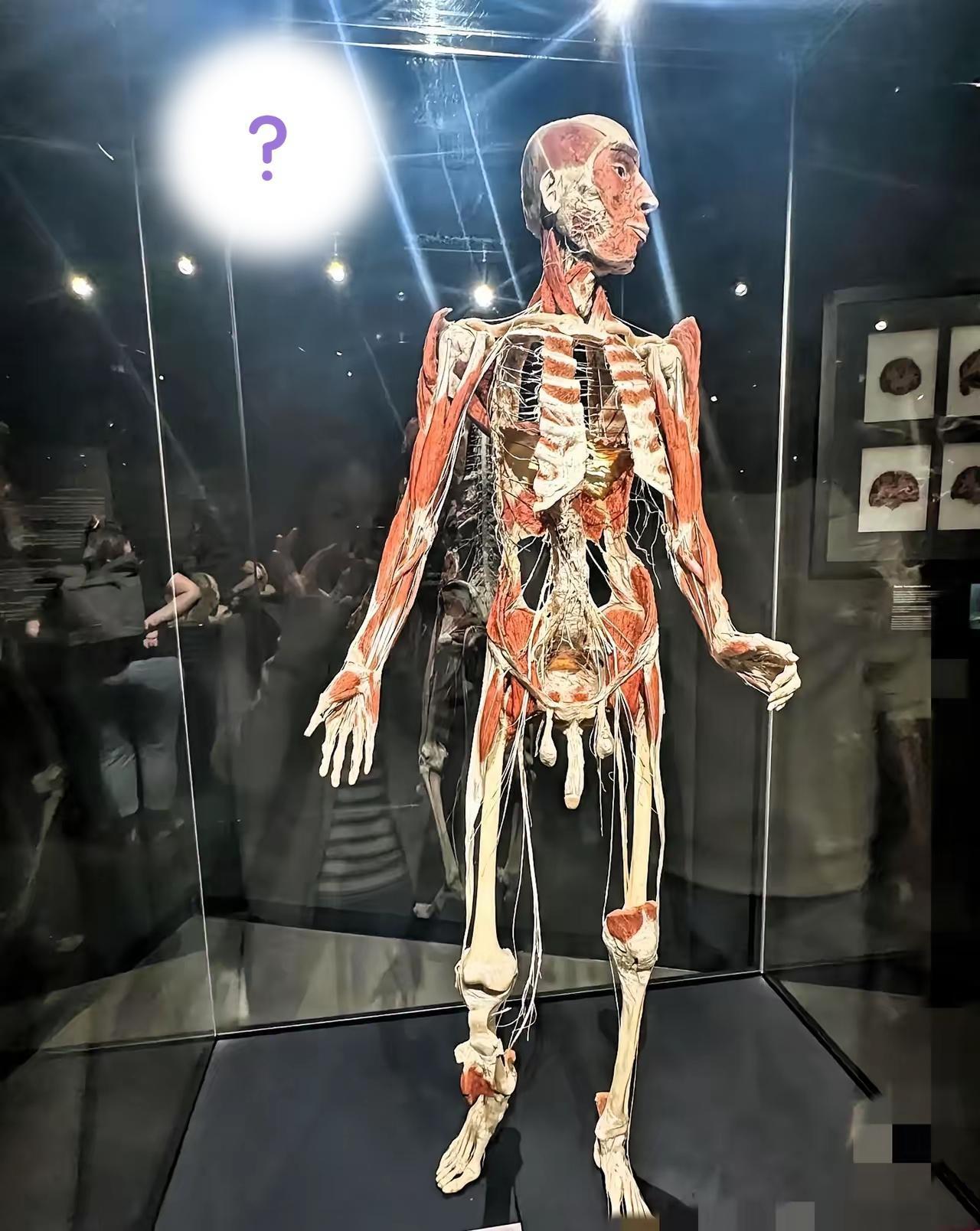 来看看这个像谁？
一眼就能看明白吧！
 
之前这东西在美术馆展出时，不少人都在猜