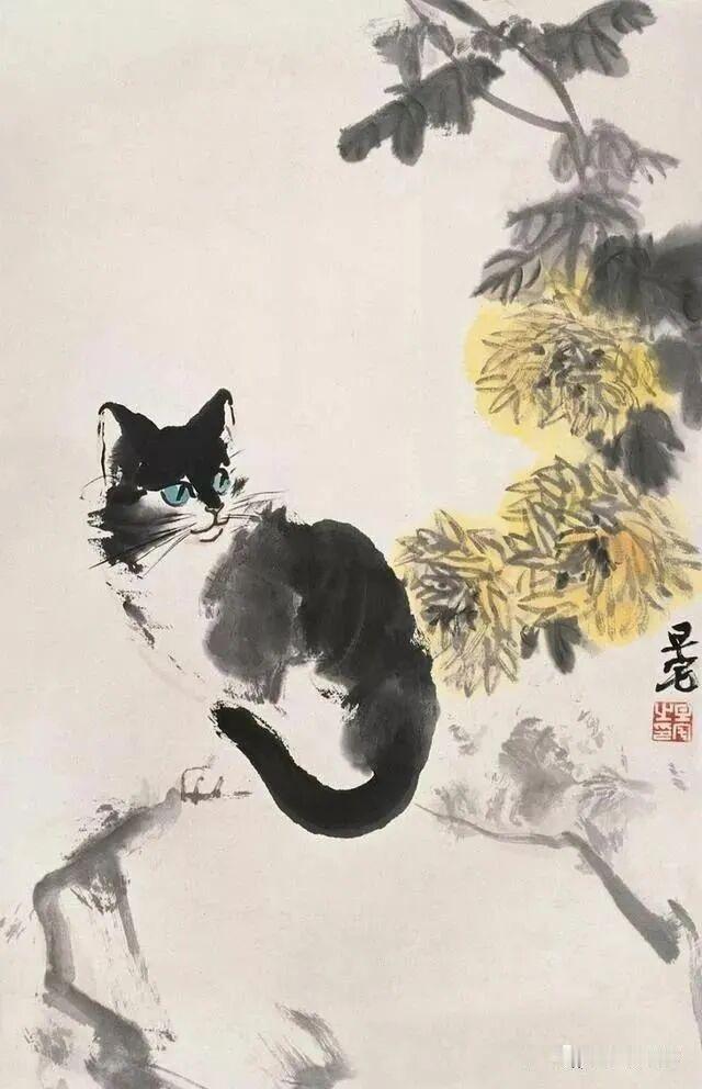 分享一张随手拍