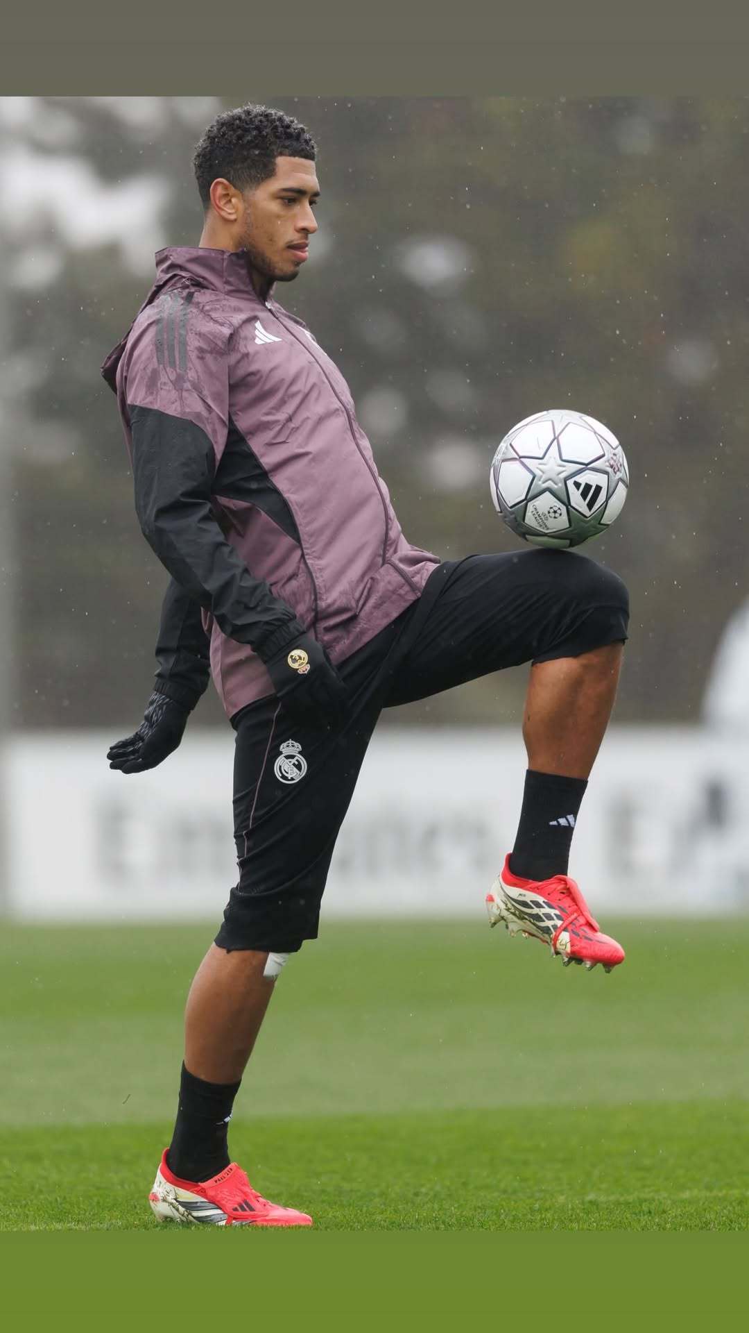 快拍更新🌧️贝林厄姆