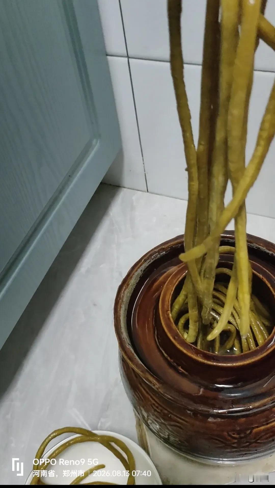 自制酸豆角（四川泡菜版）

有些菜友到了收豆角的季节，豆角多得吃不完，送人人家也