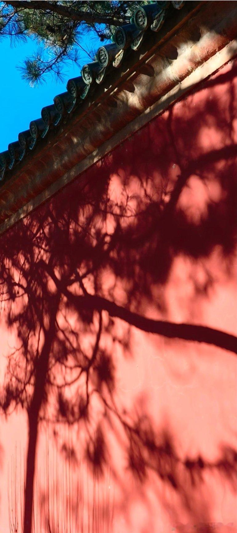 绿瓦红墙，松针留影动静之间，自有华彩这便是东方之美 