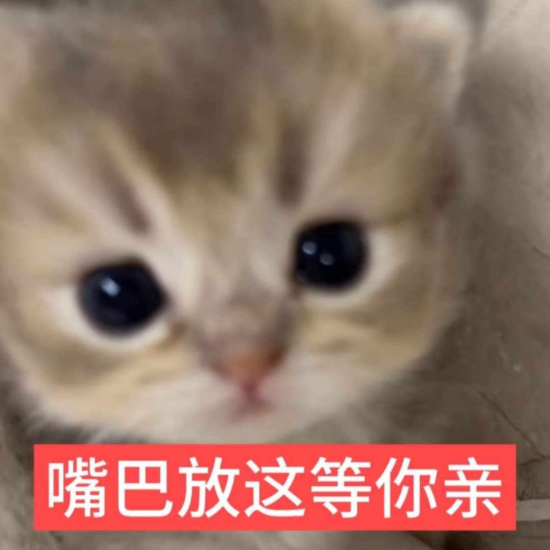 愿意让全世界都知道我很爱这个斌