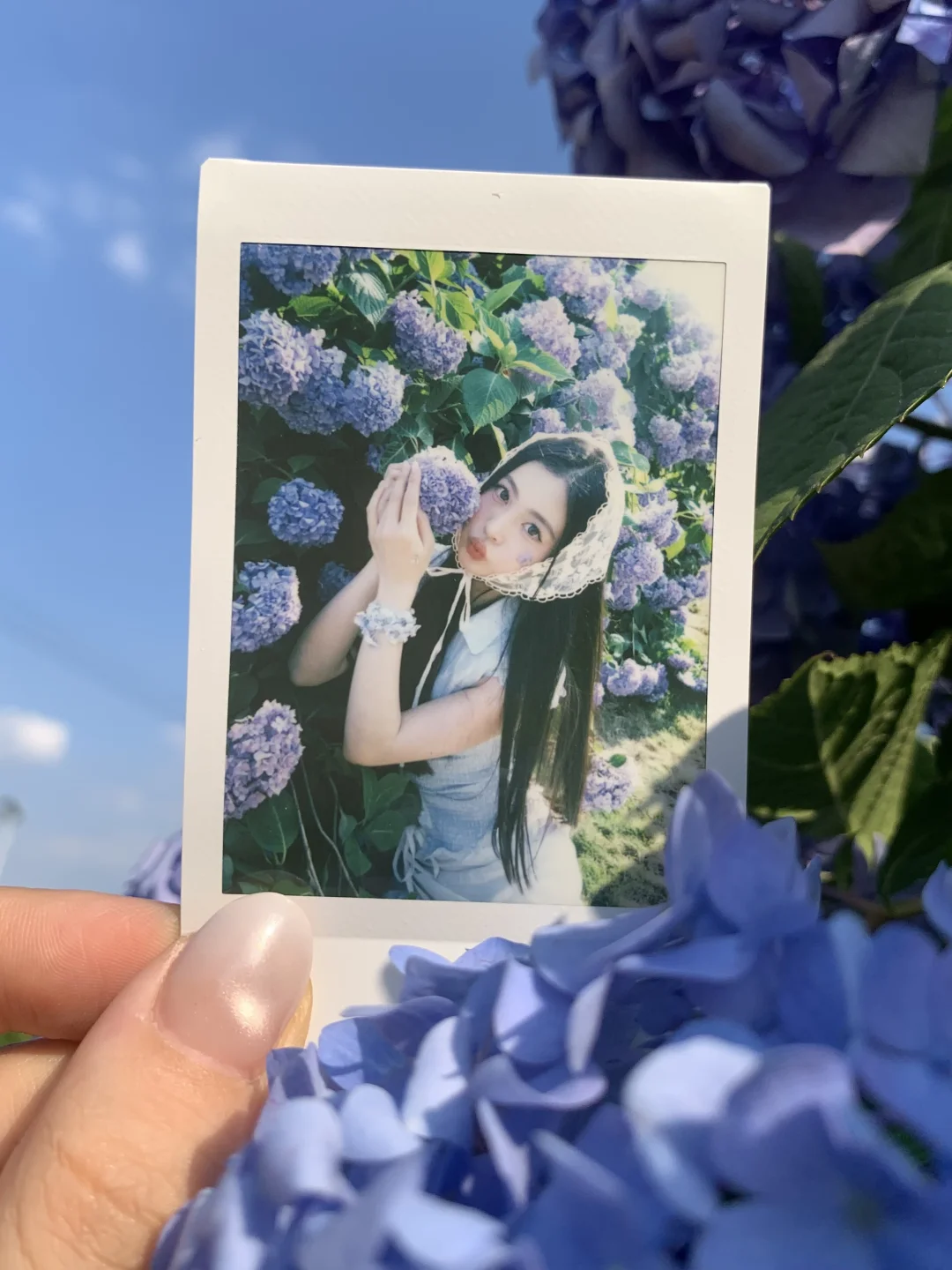 论花花和拍立得的适配度🌸
