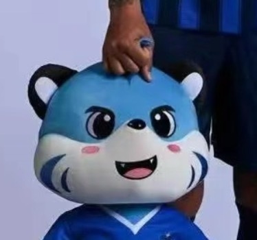 武汉三镇  呃，这是谁教他这么拿玩偶的中超联赛