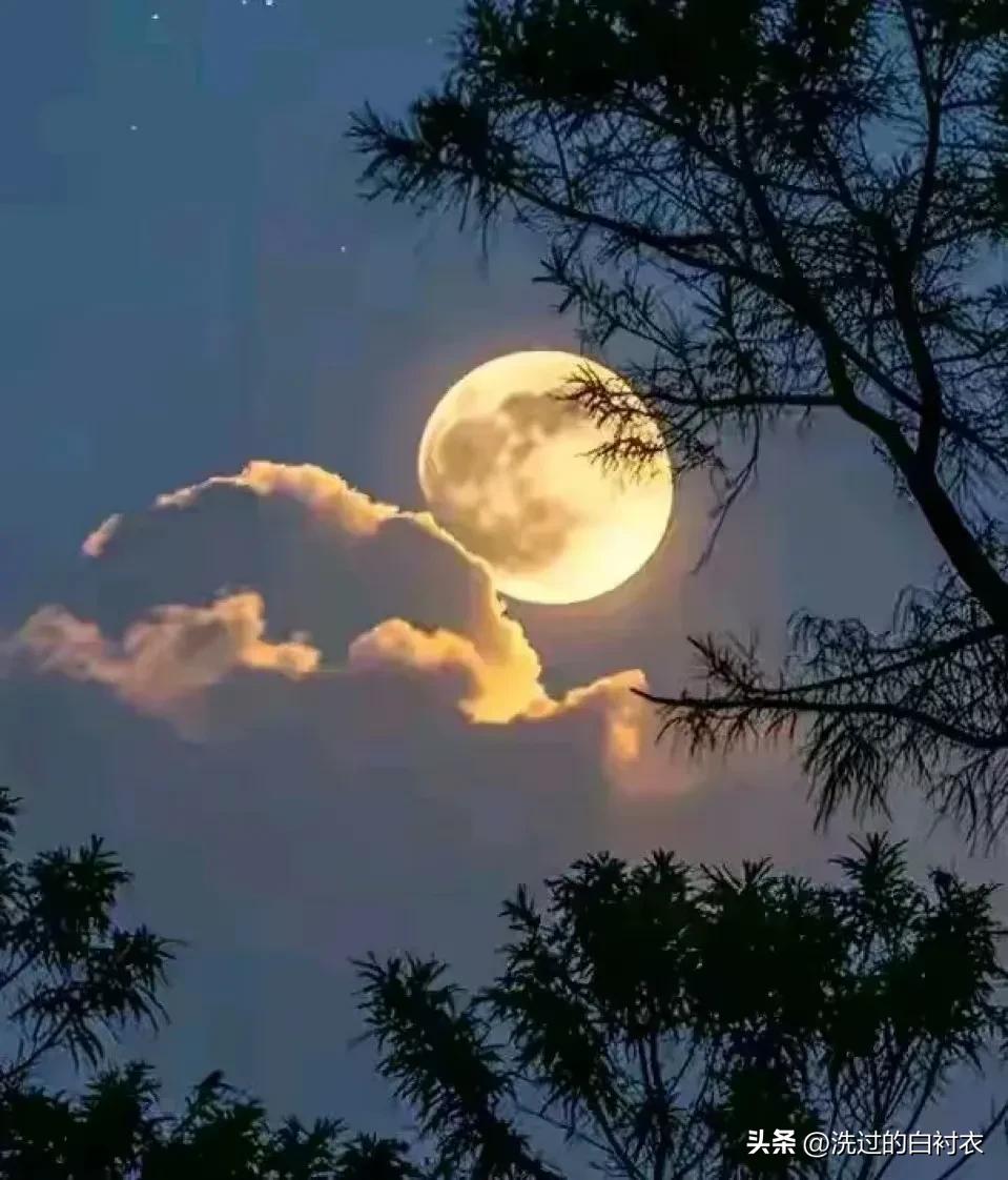 这个故事是从网上看来的。
是西藏一位庄园主小姐后来写的自传。
先前的时候，他们家