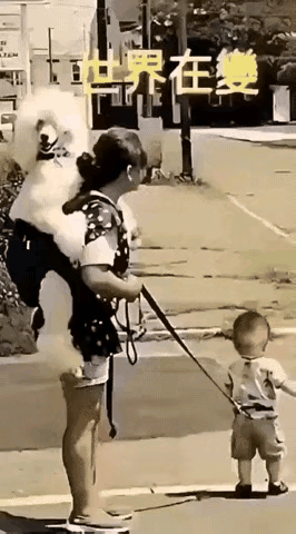 人家遛狗狗她却遛娃，
别人牵着狗她牵着娃，
人家背着娃她背着狗，
难道狗狗比娃还