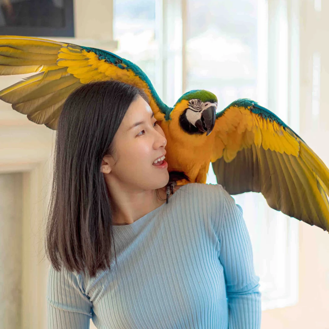 寻找原始真实的美
