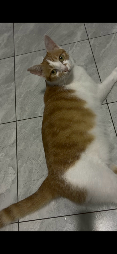 又来找我了梅梅 ​​​