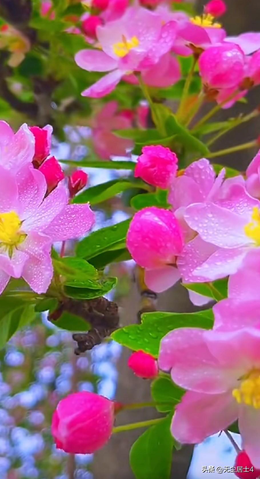 我胃癌后，听说的最有道理的一句话：癌症只是人生的一段经历和路程，而不是负担！
 