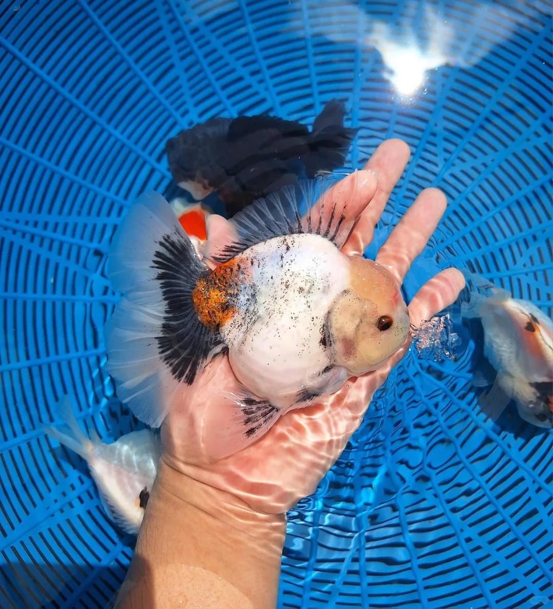 小水墨