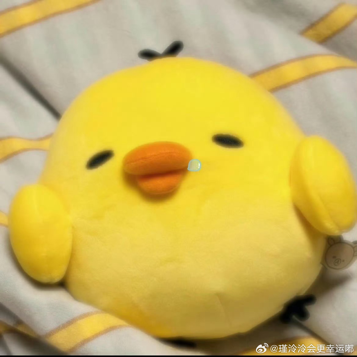 忙完今天的事已累趴 