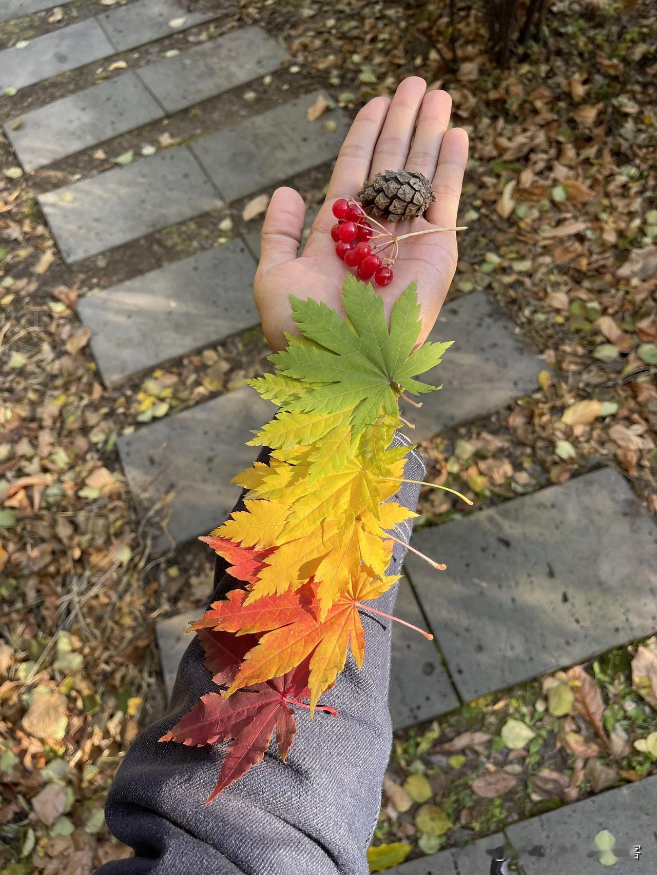 月薪3千到月入2万，我只靠这5个笨办法，普通人都能抄
 
很多人问我，没背景、没