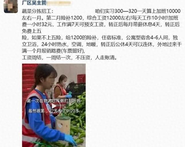 警惕高薪招工圈套！交钱干活没几天就被赶走，转头微信直接拉黑，记者卧底扒透黑中介全