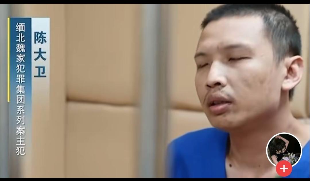 陈大卫，魏怀仁的亲外甥，母亲是魏怀仁的女儿。从名字可以看出，陈大卫的“卫”，取自