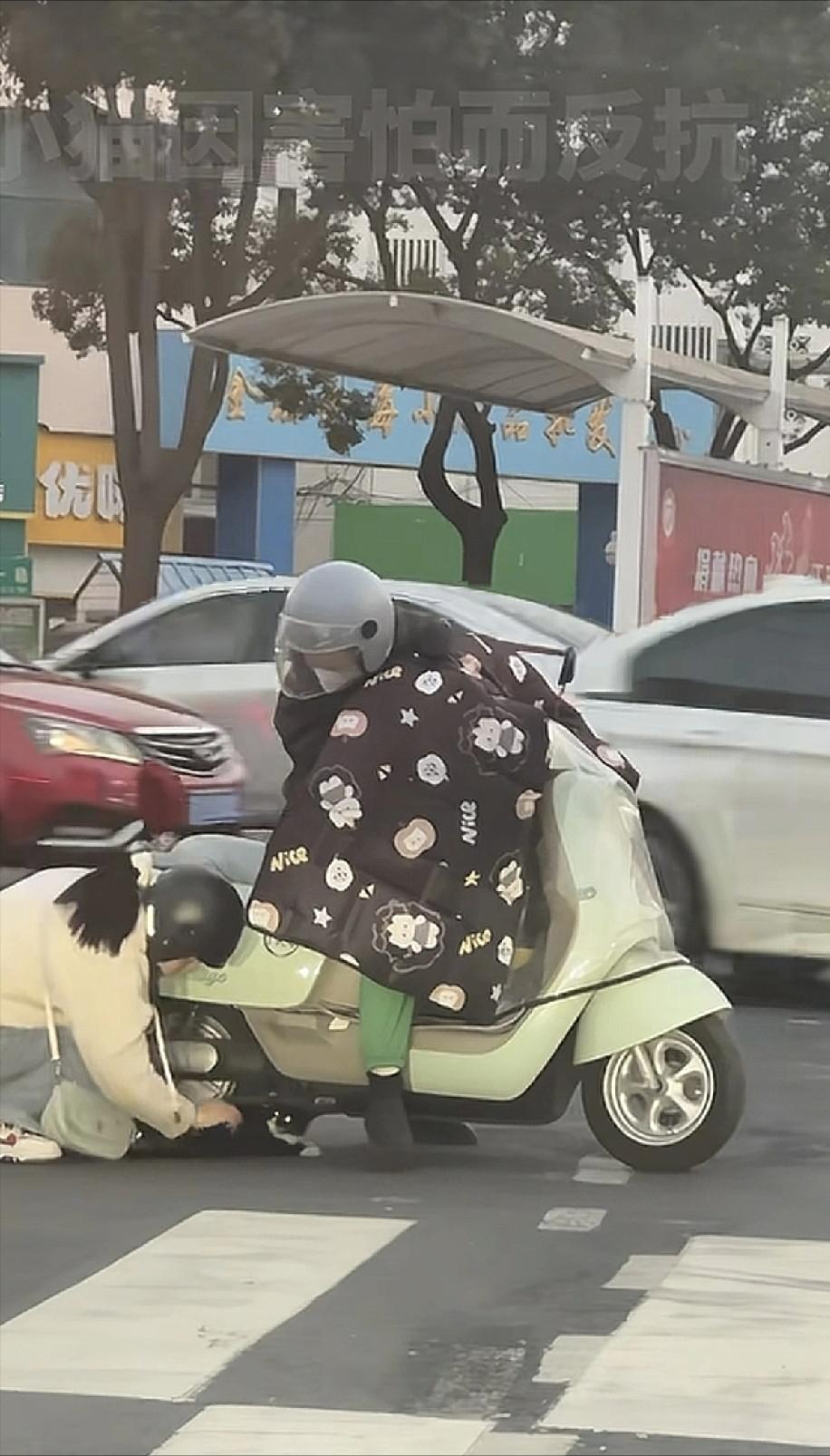 姑娘你上人民日报了！近日，江苏常州，一只流浪猫一瘸一拐在红绿灯路口爬行，眼看小黑