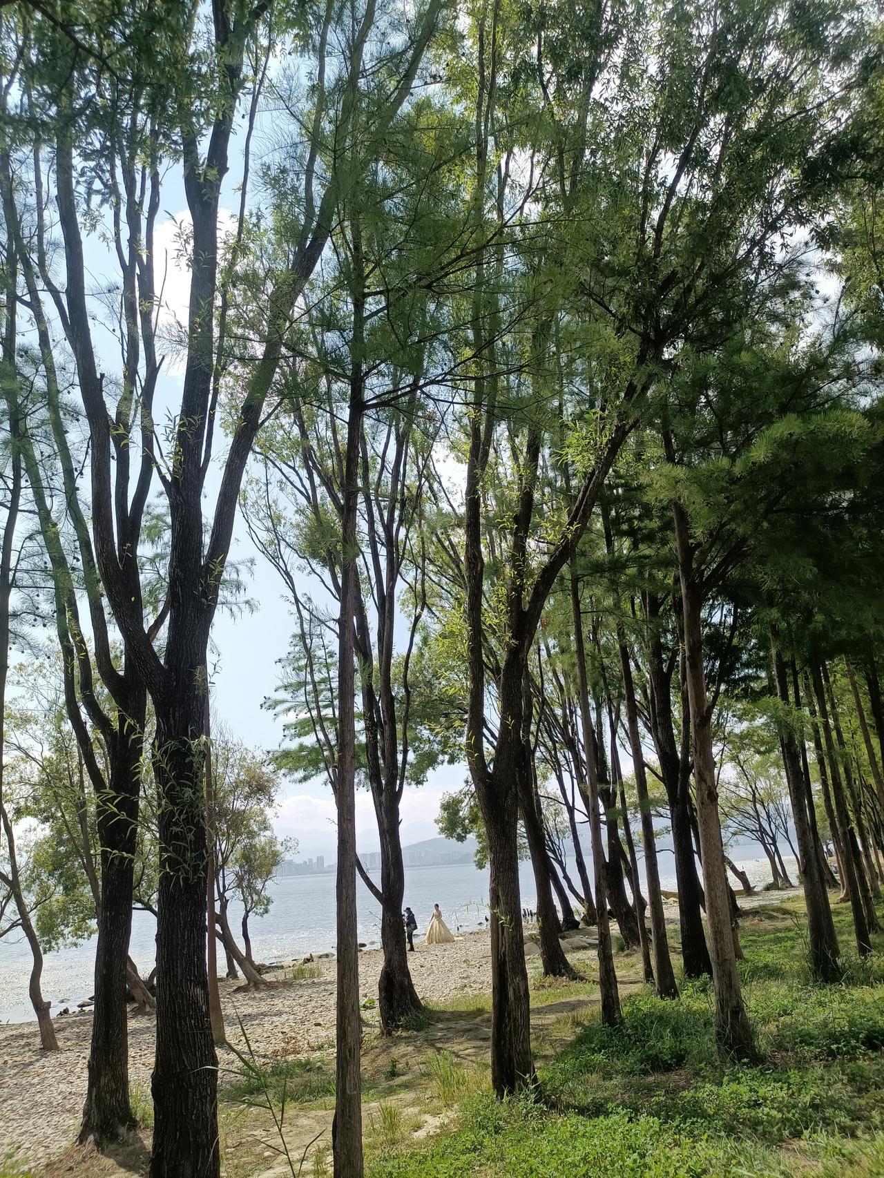 晒一晒随手拍的美景