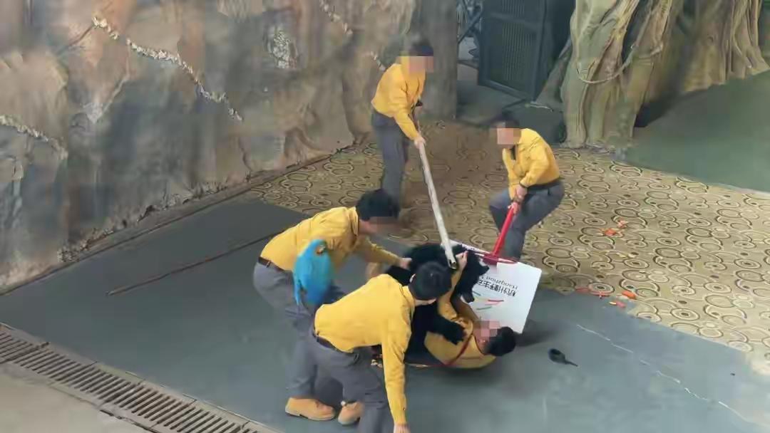 这种大型动物表演非常具有危险性，特别是一些凶猛的动物，本来就是有伤人本性的，如果