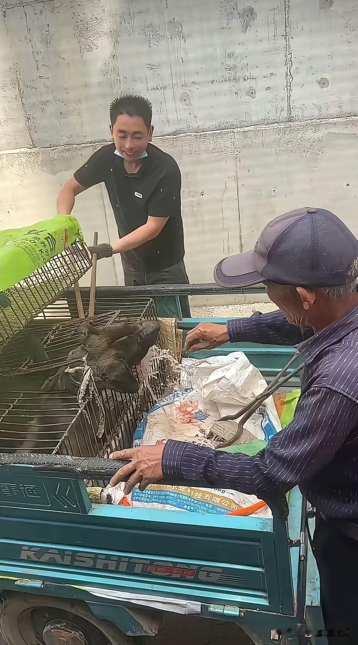 这些狗贩子真是太缺德了，为了增加狗的重量，强行给狗灌水，这狗在遭受屠宰之前，还要