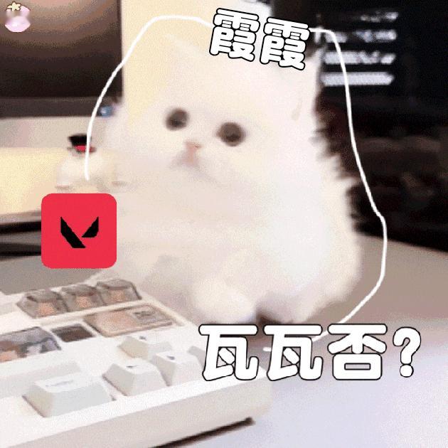 分享图片 