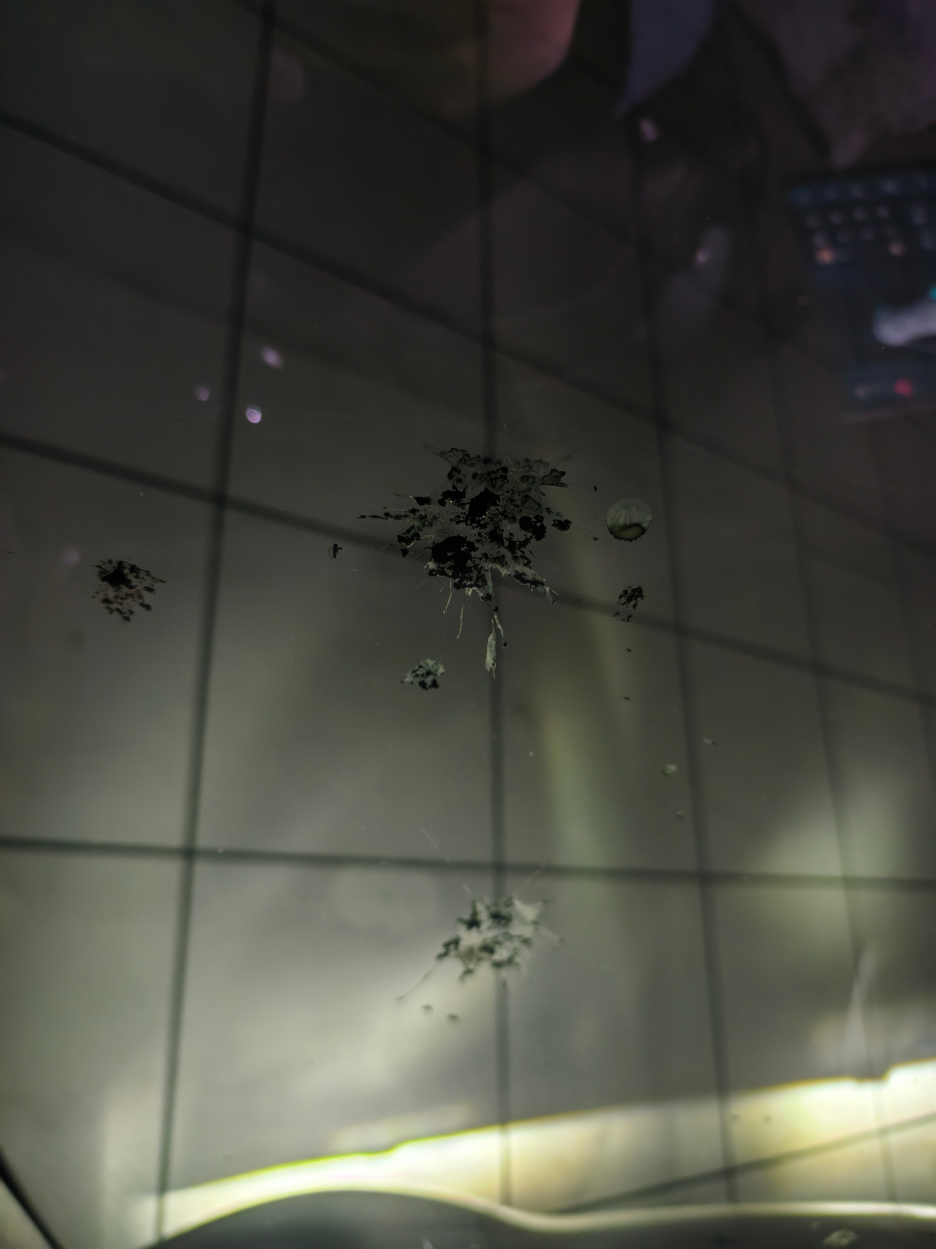 服了，才洗车不久，鸟就来拉屎了