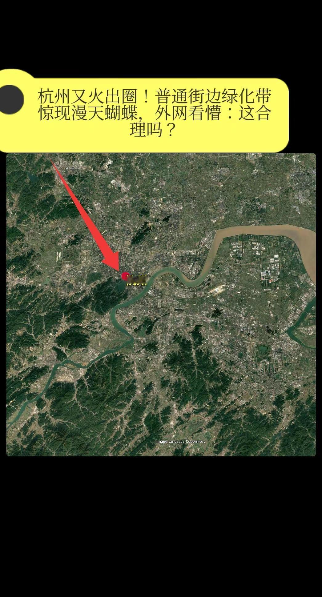 杭州又火出圈！普通街边绿化带惊现漫天蝴蝶。外网看懵：这合理吗？最近杭州的一段街头